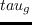 $phi_{g}(t-dt)$