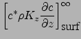 $\displaystyle {K_z\rho\frac{\partial c^*}{\partial z}}_{\vert _{\infty}}=0$