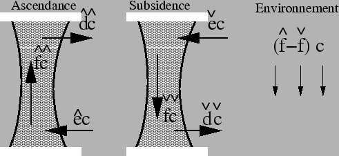 \includegraphics[width=11cm]{lmdzt/FIGURES/massflux.eps}