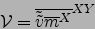 \begin{displaymath}
{\cal V}={\overline{\tilde{\tilde{v}}{\overline{m}}^{ X }}}^{ XY }
\end{displaymath}