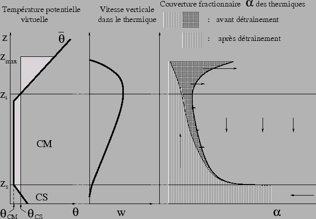 \includegraphics[width=14cm]{therm/FIGURES/cell.eps}