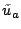 $\tilde{u}_{a}$